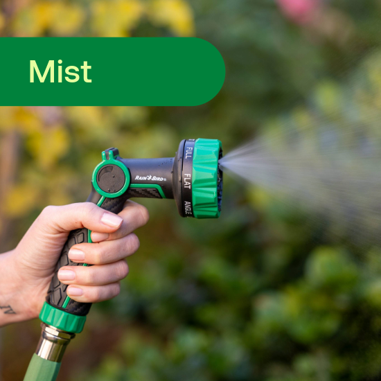 Mist