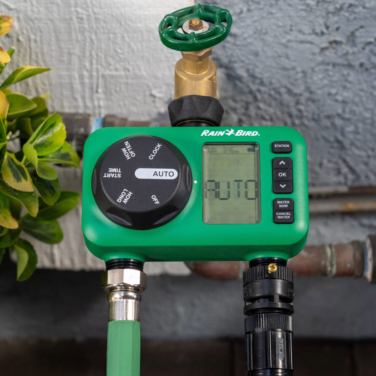 hose end timer