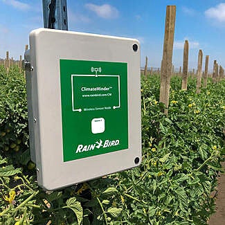 ClimateMinder  wireless sensor node in tomato crop