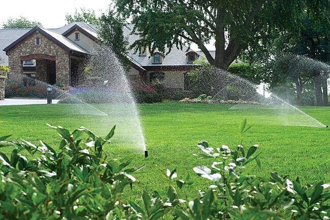 Irrigate Your Trees Effectively