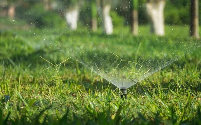 Rain Bird smart irrigation