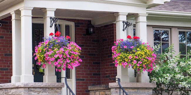 hanging flower baskets