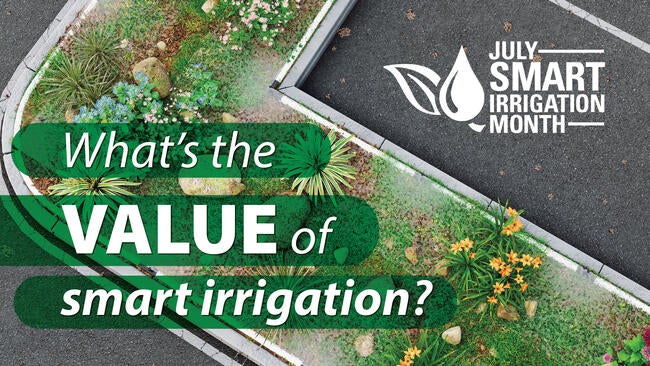 Overhead view of landscaping with drip irrigation and text saying "What's the value of smart irrigation" with the Smart Irrigation Month logo.