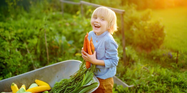 boy with carrots
