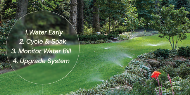 Green lawn with sprinklers running and text listing steps 1. Water Early, 2. Cycle & Soak, 3. Monitor Water Bill, 4. Upgrade System
