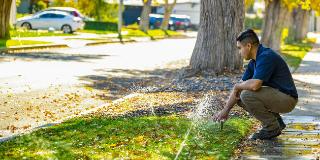 Water Saving Tips for a Sustainable Lawn