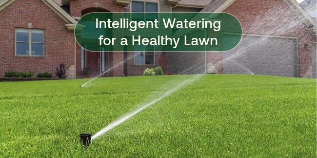 lawn irrigation