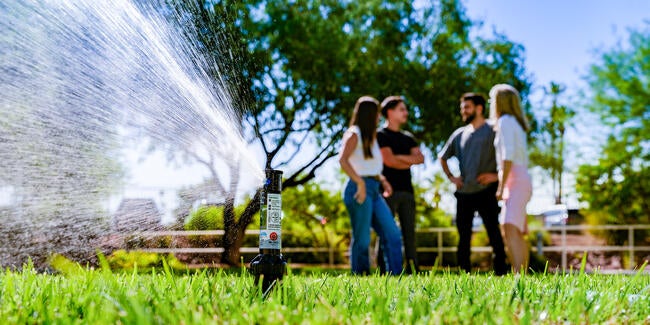 Rain Bird’s hose-end, spiked sprinkler in yard