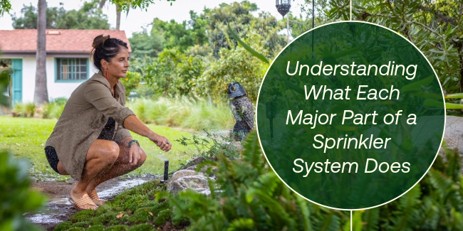 woman adjusting sprinkler system