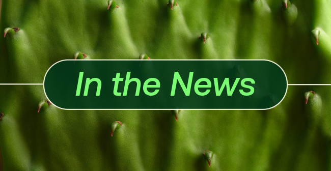 Words "In the News" within a green pill-shape, sitting on top of a macro-shot of a cactus