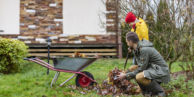 fall yard cleanup
