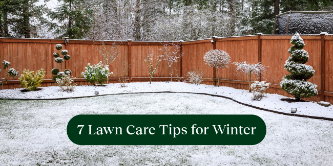 light snow in yard