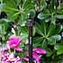 XBCV 2 GPH threaded emitter on stand watering plants