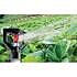 LFX Series Sprinkler - beauty