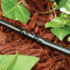 DRIPPAIL barbed coupling