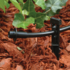 Drip Starter Watering Kit with BSP Connection