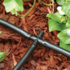 Drip Starter Watering Kit with BSP Connection