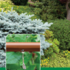 SHRUB KIT lifestyle