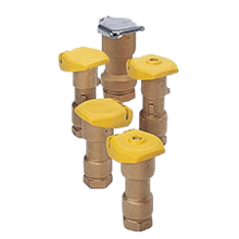 Quick Coupling Brass Valves