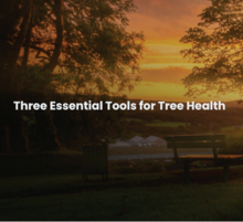 3 Essential Tools for Tree Health