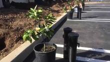 First Fruits Project - Rain Bird RWS Mini Root Watering System