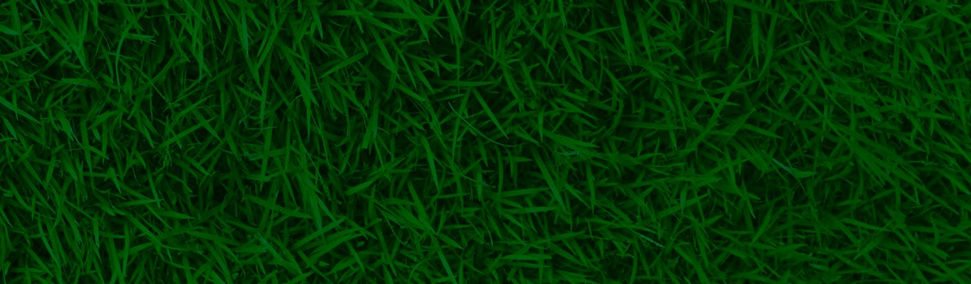 Grass