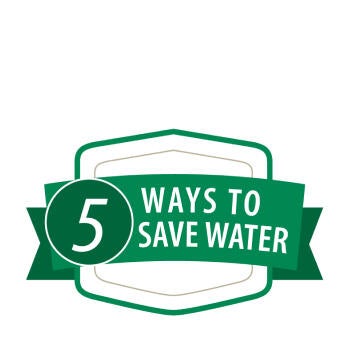 5 Ways to Save Water badge