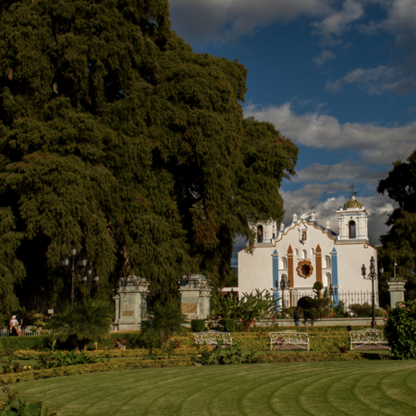 White church among trees