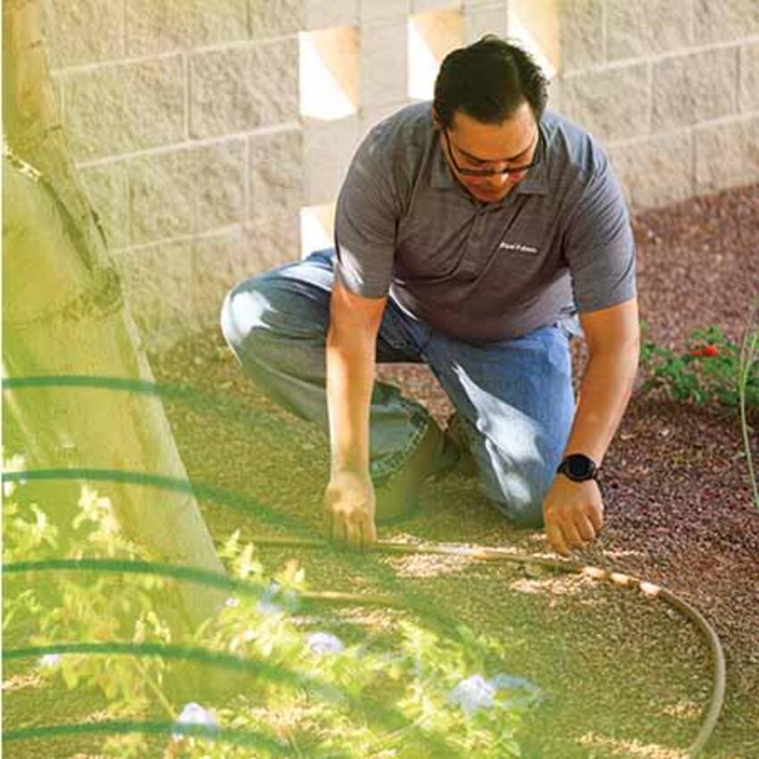 Man working on drip irrigation. 