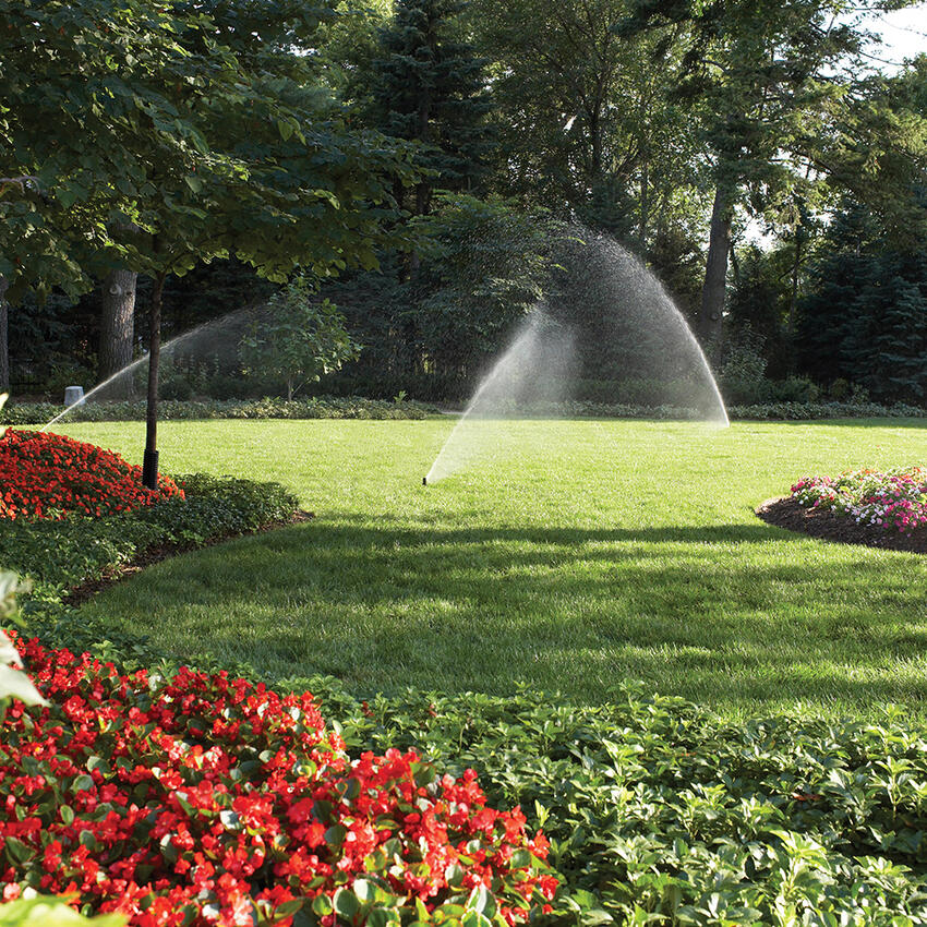 landscape with irrigation