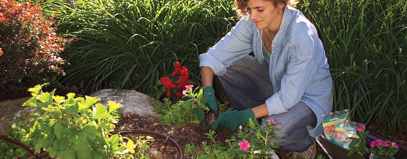 Woman planting flowers with drip irrigation