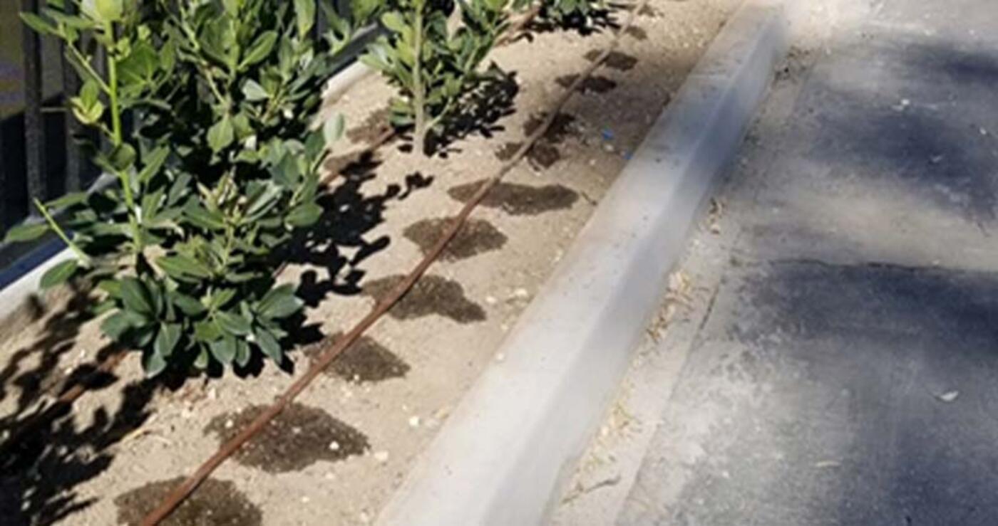 XFDe dripline irrigating plants on side of road