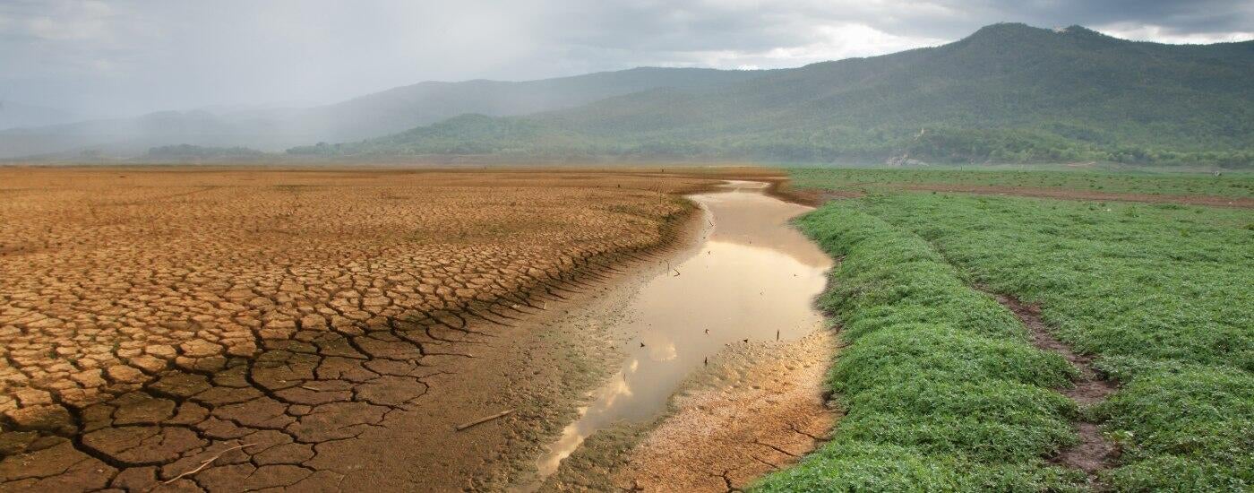 Dry riverbed between cracked earth and green field