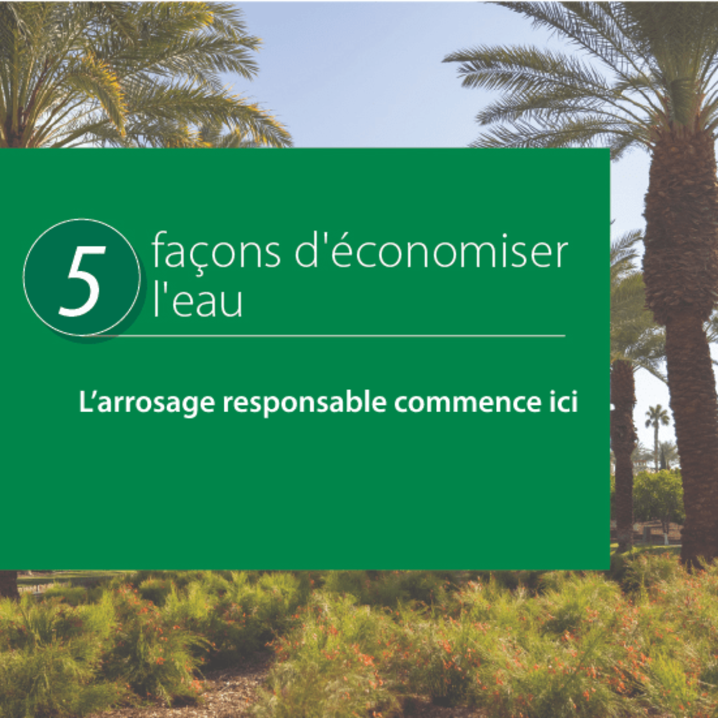 5 facons d'economiser l'eau