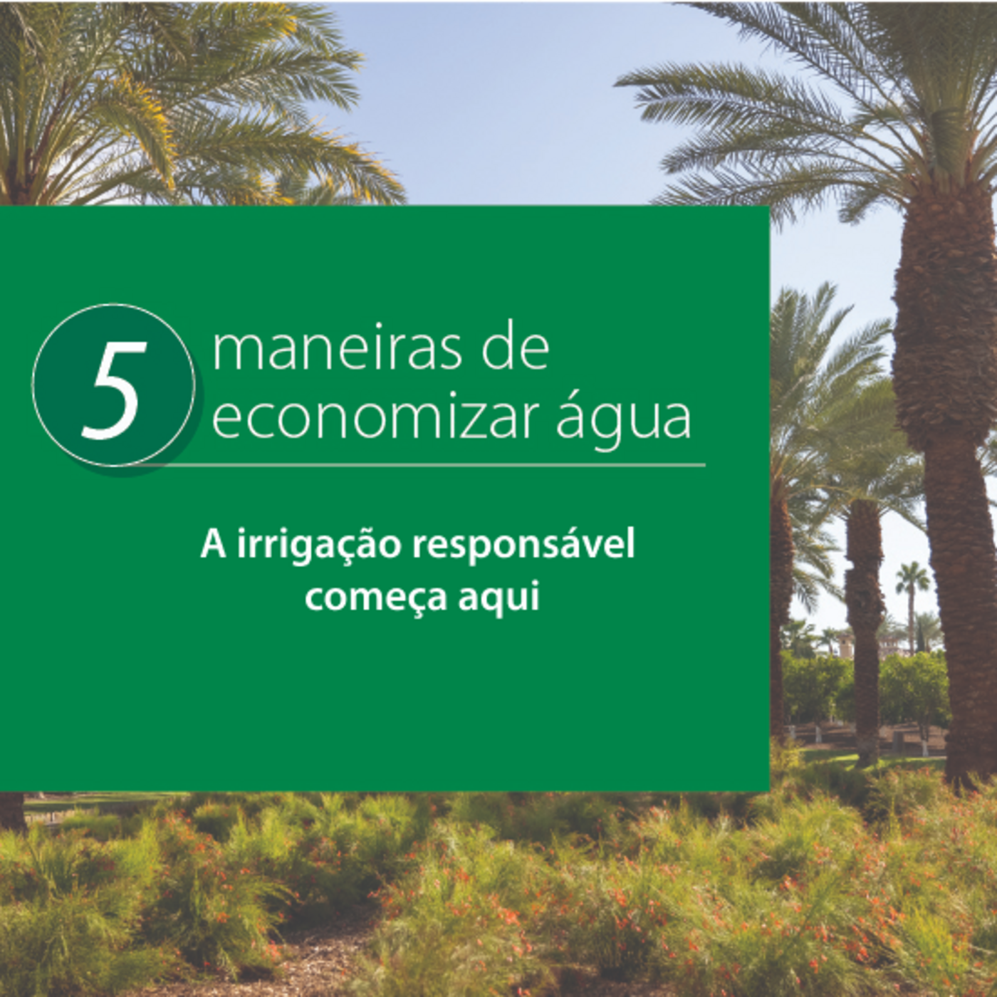 5 ways to save water banner