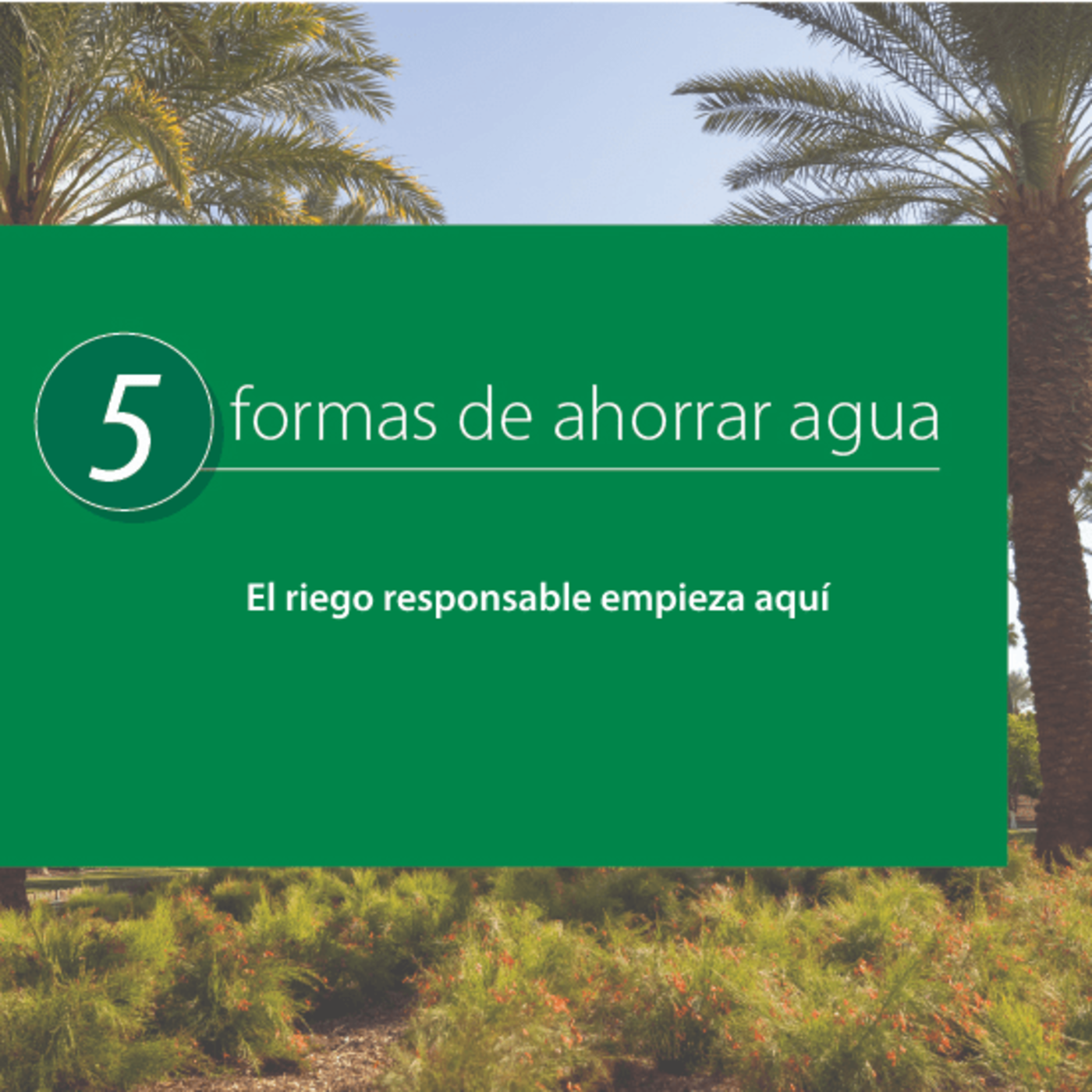 5 formas de ahorrar agua