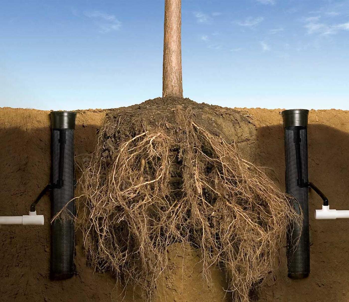 Root Watering System