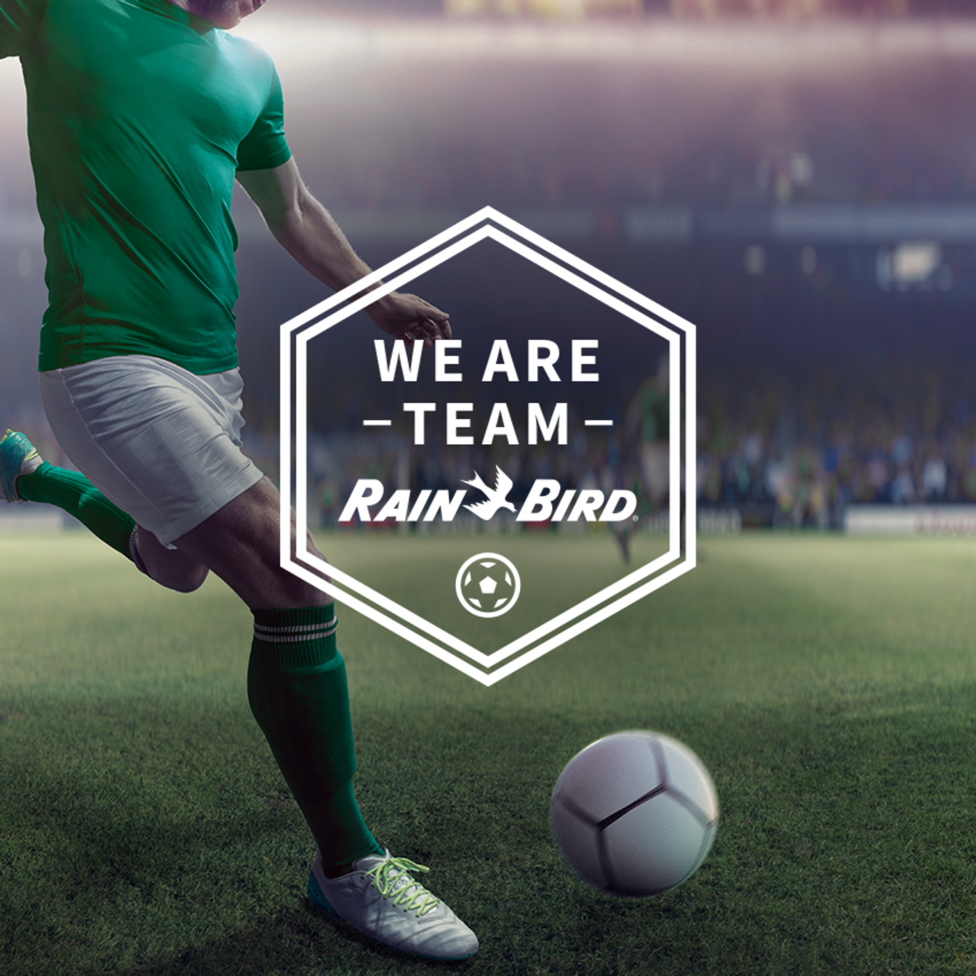 Banner of soccer player on soccer field with Rain Bird logo and slogan We Are Team