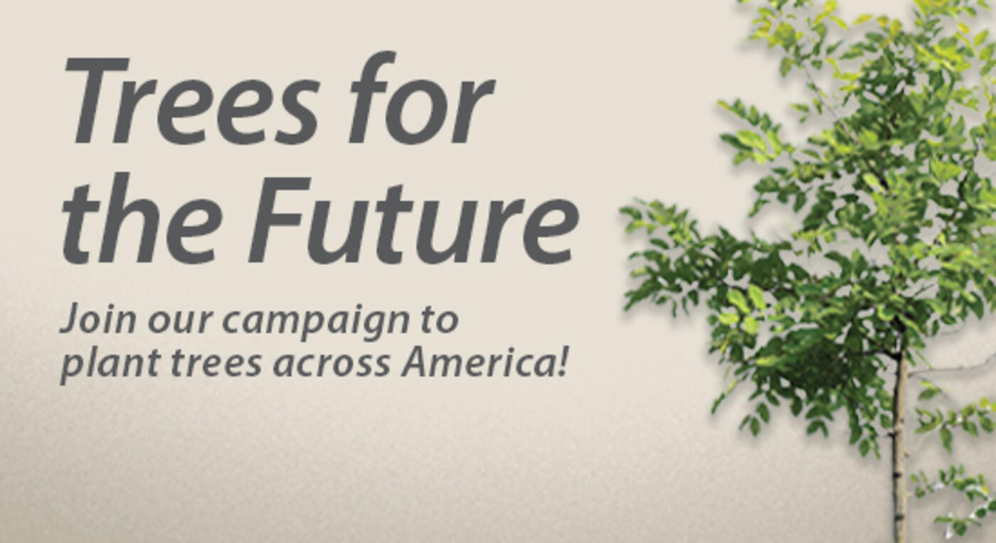 Trees for the Future