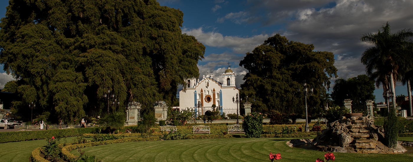 White church among trees