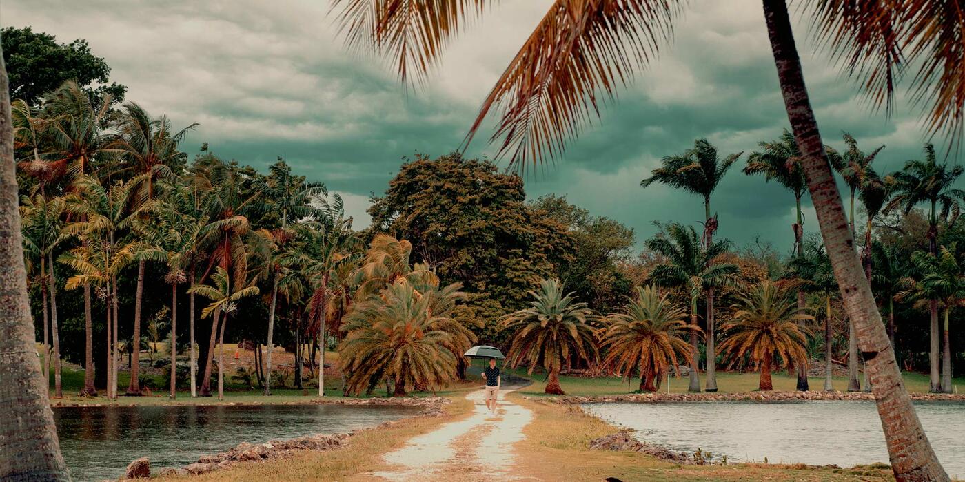 Miami Palmetto