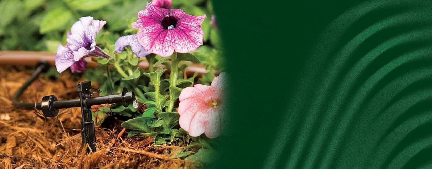 Drip Irrigation