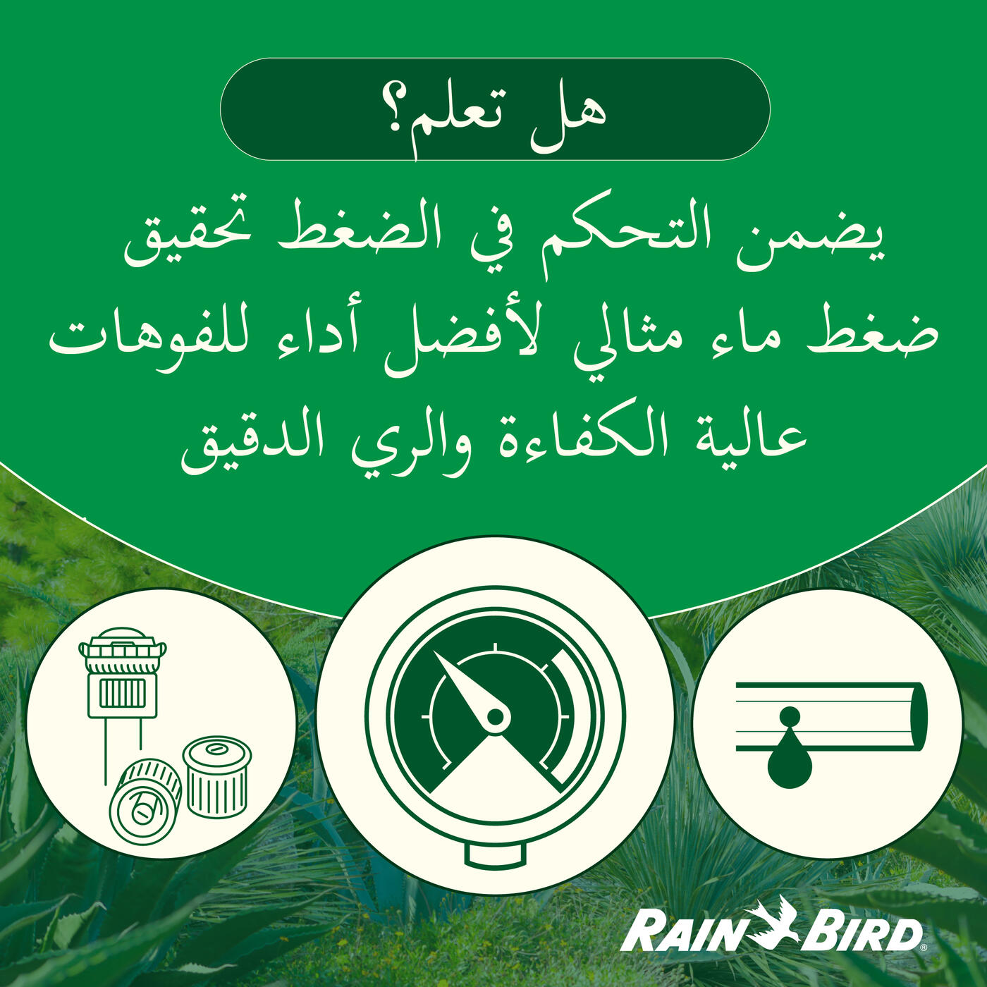 هل تعلم؟ يضمن التحكم في الضغط تحقيق ضغط ماء مثالي لأفضل أداء للفوهات عالية الكفاءة والري الدقيق.