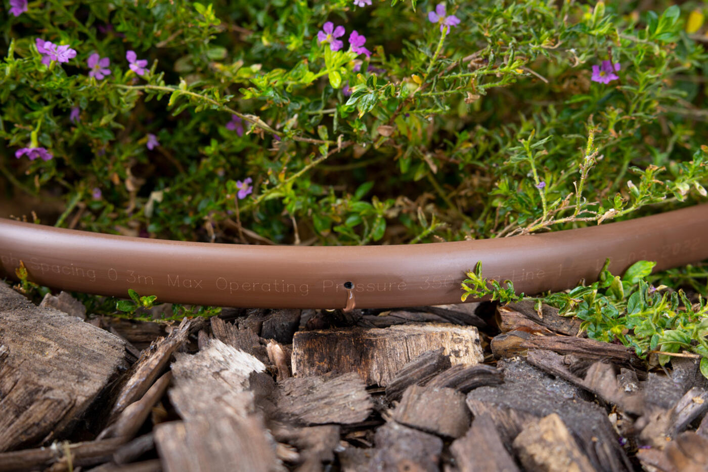 Xfa Dripline with plants and mulch