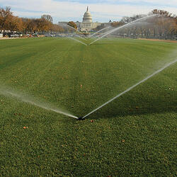 nat-mall-500-x-500.jpg